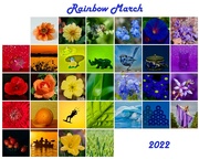 1st Apr 2022 - Rainbow 2022