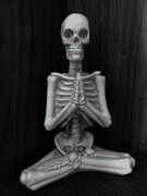 1st Apr 2022 - One Subject - Skeleton Sangha