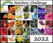 1st Apr 2022 - Rainbow Challenge 2022
