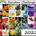 Rainbow Challenge 2022 by jo38