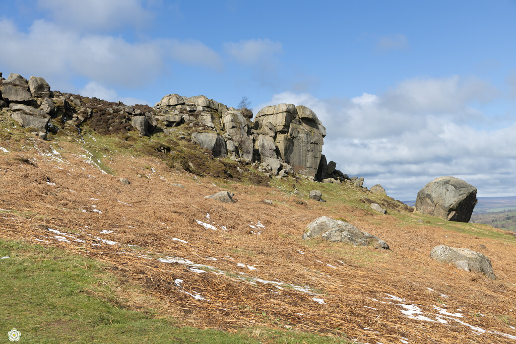 Cow and Calf Rocks Ilkley by lumpiniman