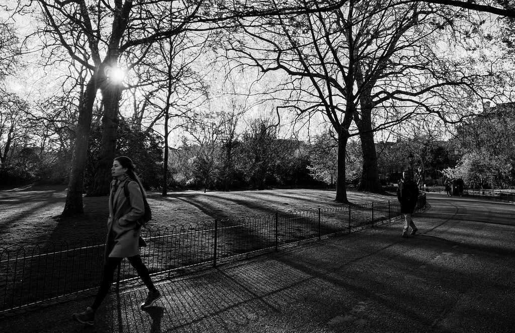 Park light and shadows revisited  by boxplayer