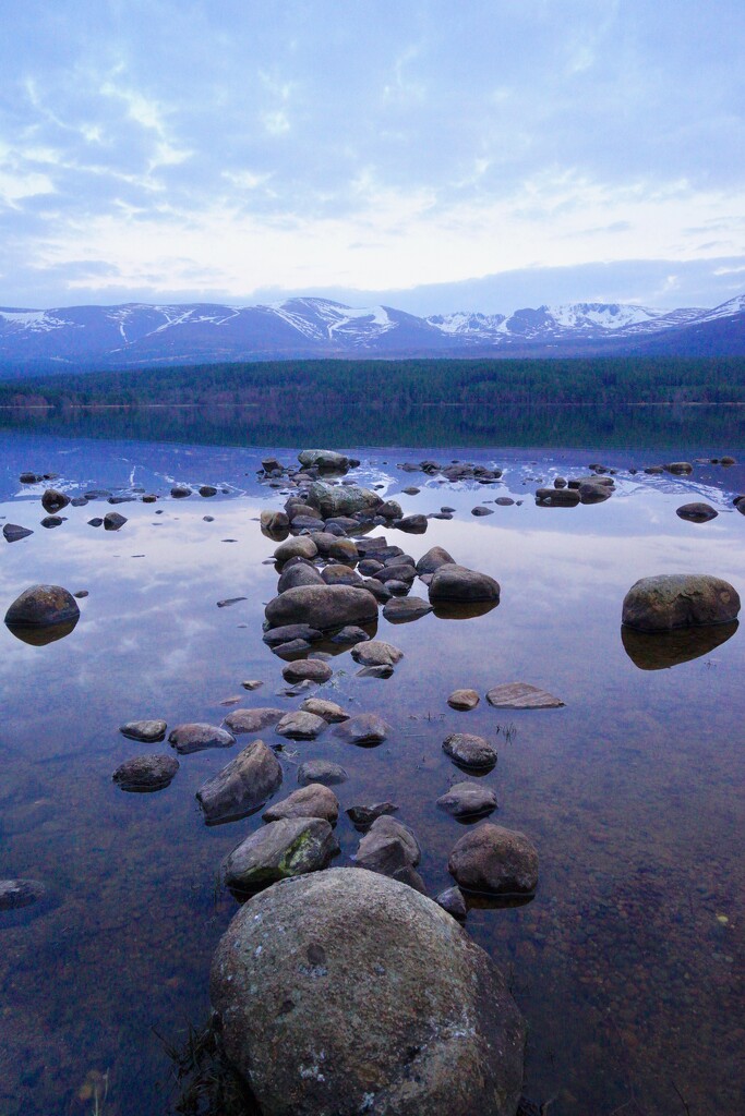 FROM LITTLE ROCKS GROW MIGHTY MOUNTAINS  by markp