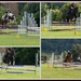 Show jumping day by rustymonkey
