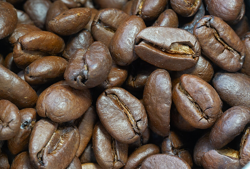 Coffee Bean Texture by gardencat