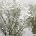 A winter reflections by haskar