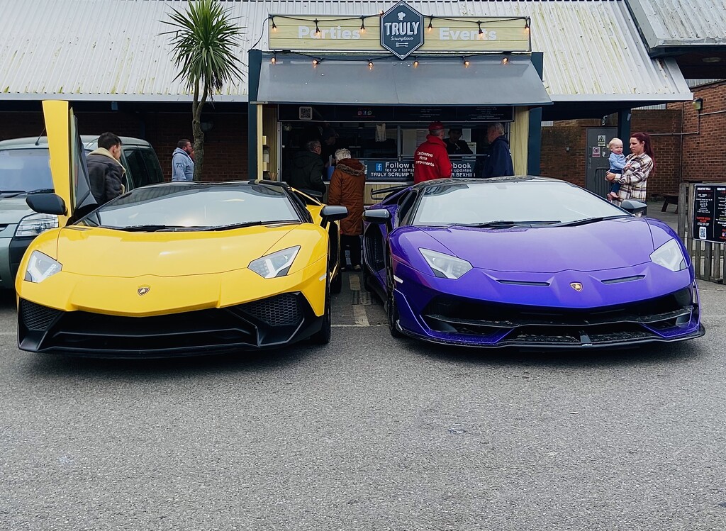 Lamborghini pair  by robboconnor