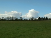 3rd Apr 2022 - Spring . Candyfloss clouds