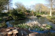 3rd Apr 2022 - Pond in Homestead Park