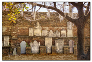 31st Mar 2022 - Colonial Park Cemetery, Savannah, GA