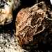Patterns on a rock filter by larrysphotos