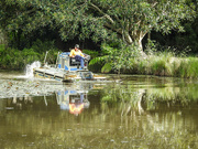 4th Apr 2022 - Lilypond cleanup. 