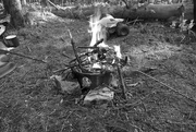 2nd Apr 2022 - fire in the wood