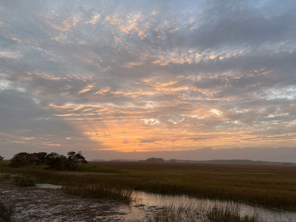 Sunset over the salt marsh by congaree