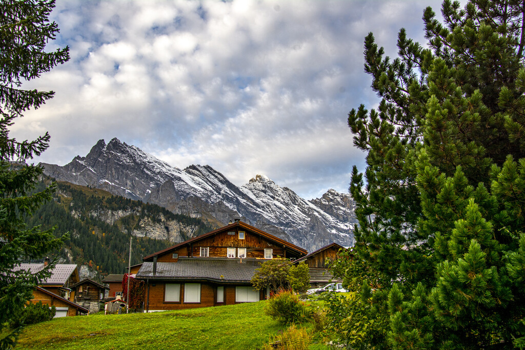 Alpine Home by cwbill
