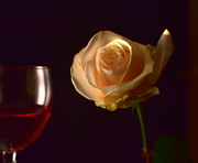 5th Apr 2022 - Days of wine and roses.