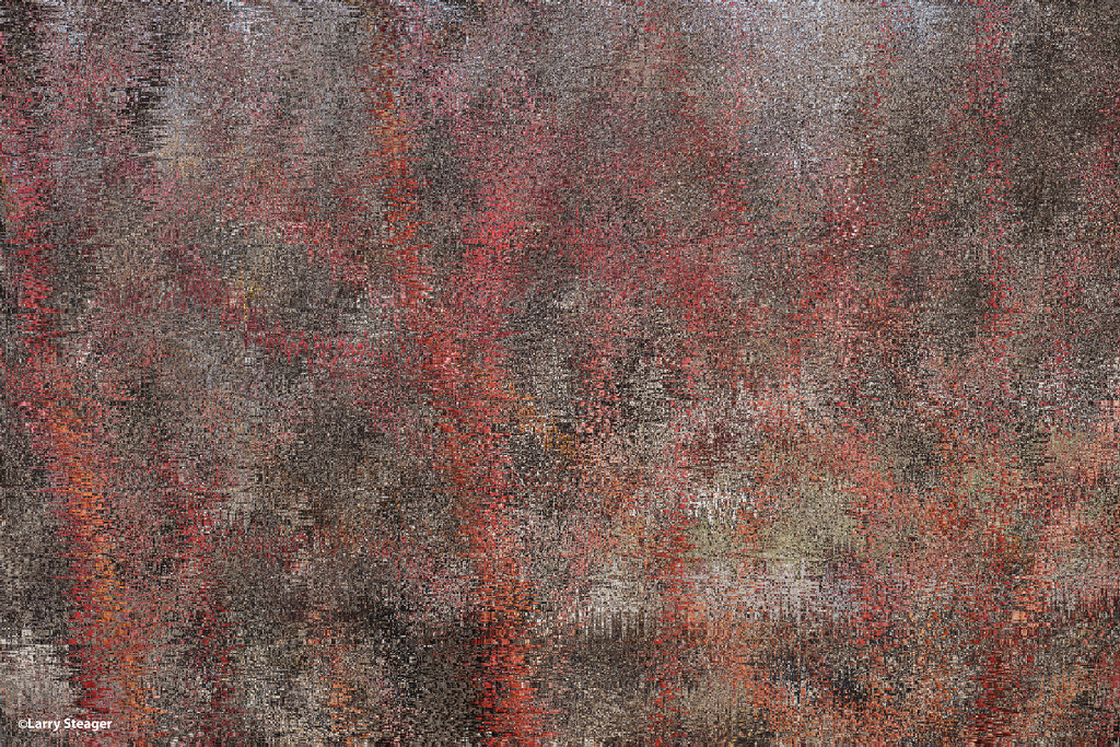 Abstract red branches by larrysphotos