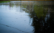 5th Apr 2022 - puddles and splashes