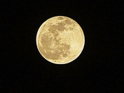 5th Apr 2022 - Lasso the Moon