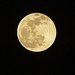 Lasso the Moon by photogypsy