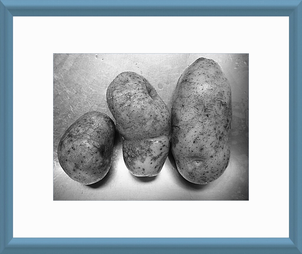 The Potato Family by olivetreeann