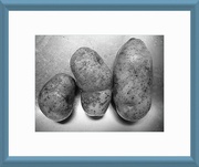 5th Apr 2022 - The Potato Family