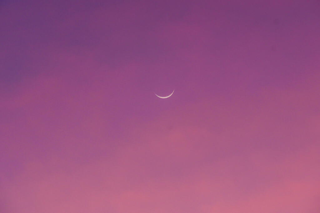 Crescent moon at sunset by danette