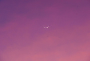 6th Apr 2022 - Crescent moon at sunset