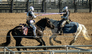 1st Apr 2022 - Jousting (on iPhone)