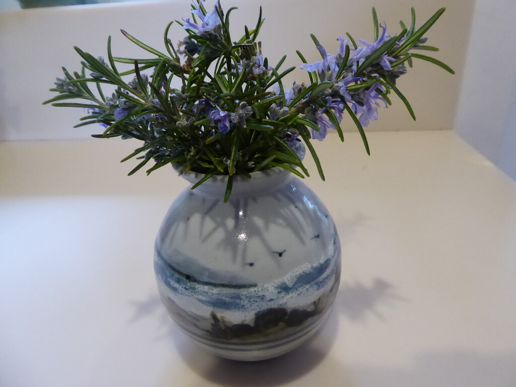 Rosemary flowers - I like them together with this vase by snowy