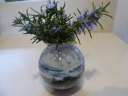 5th Apr 2022 - Rosemary flowers - I like them together with this vase