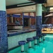Swim up bar at Piggs Peak Hotel by eleanor