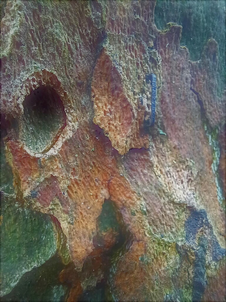 Abstract tree trunk on a rainy day by 365jgh