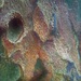 Abstract tree trunk on a rainy day by 365jgh