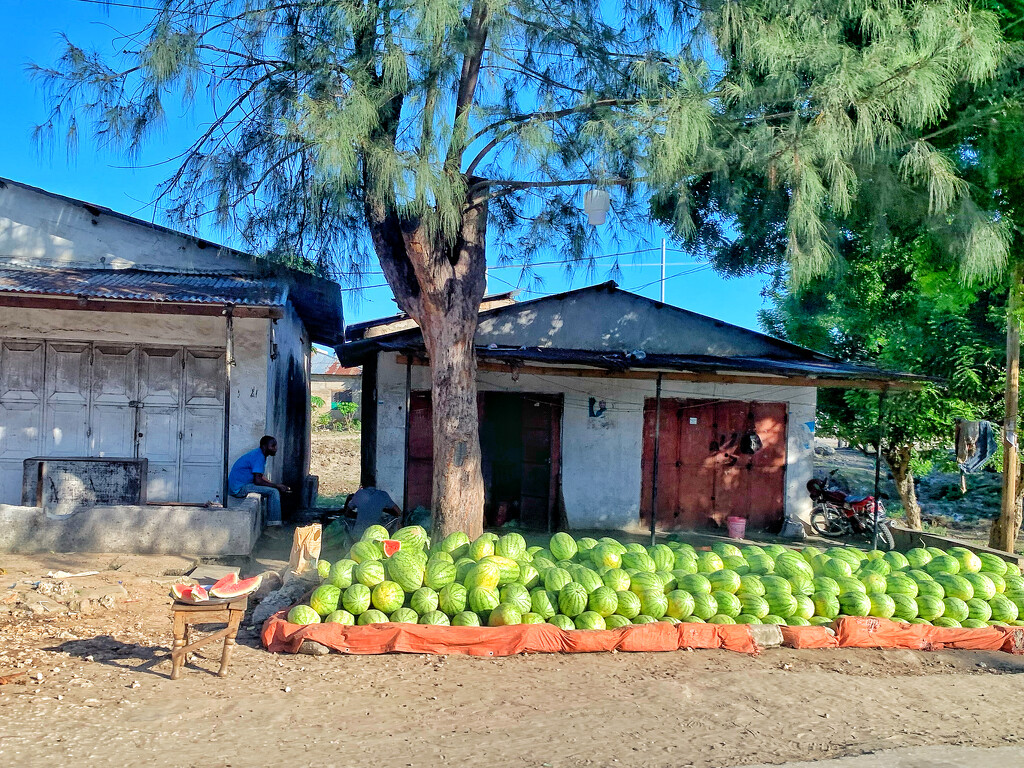 Selling watermelons.  by cocobella