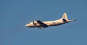6th Apr 2022 - Navy P-3 Aircraft!