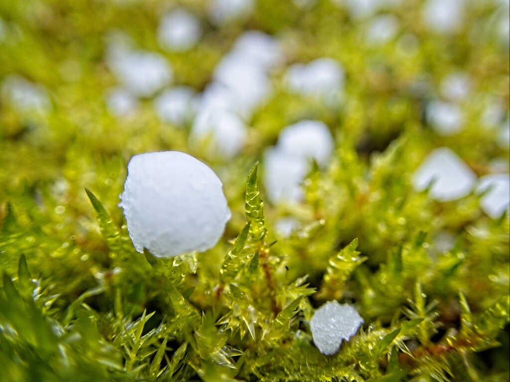 Hailstones by mitchell304