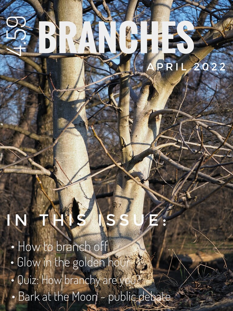 Branches - spring issue by monikozi