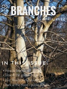 7th Apr 2022 - Branches - spring issue