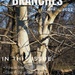 Branches - spring issue by monikozi