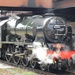 Royal Scot by fishers