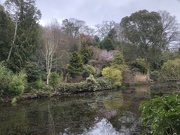4th Apr 2022 - Dingle Gardens 
