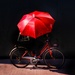 The red bicycle  by caterina