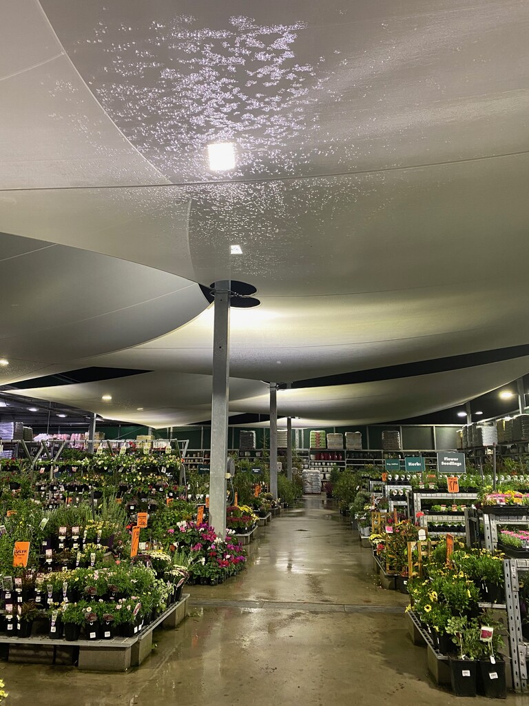 Rainy Night at the Garden Centre by galactica