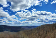 8th Apr 2022 - Yesterday's View from Atop the Pig Trail