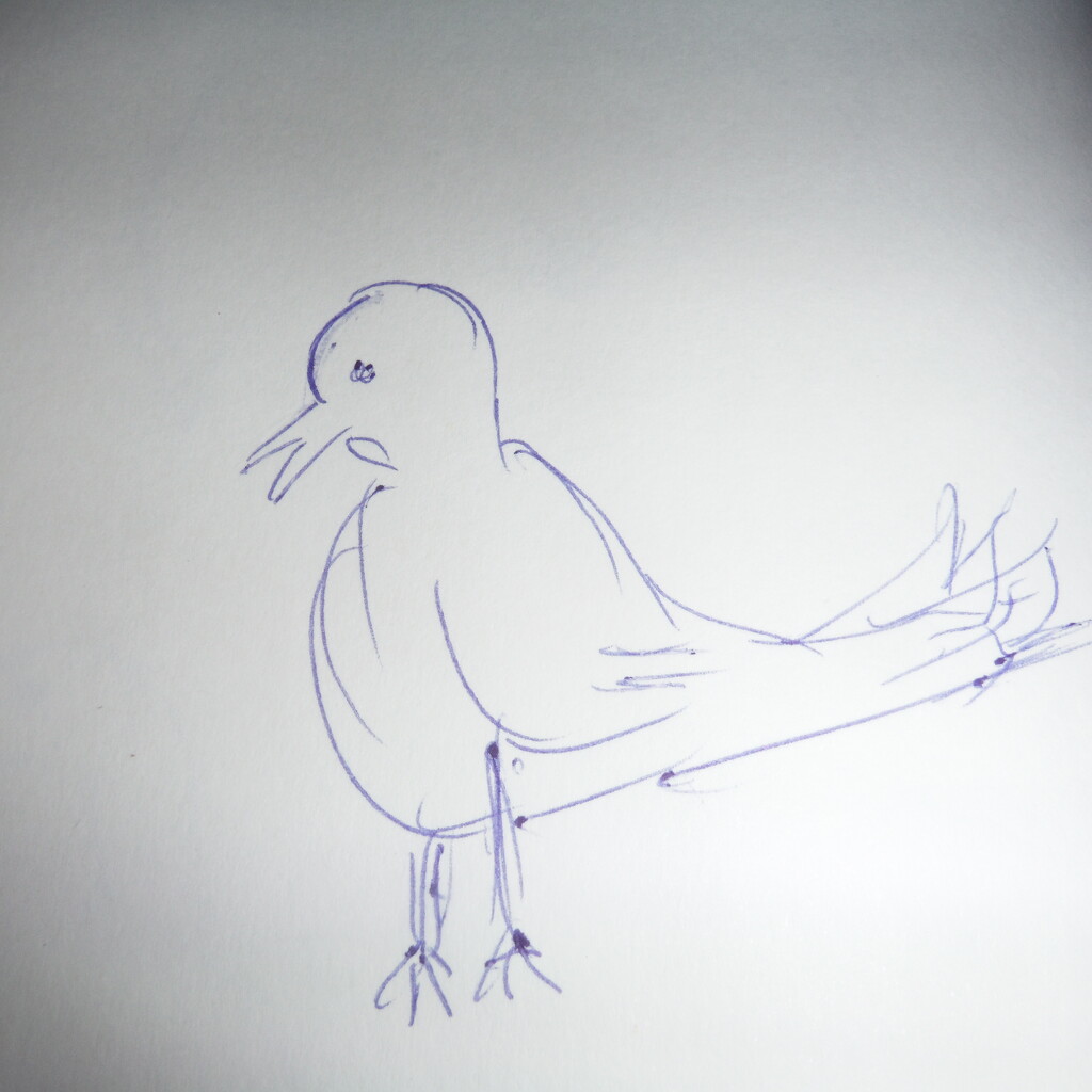 Draw a Bird Day by spanishliz