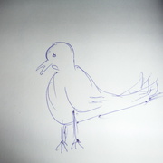 8th Apr 2022 - Draw a Bird Day