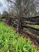 8th Apr 2022 - Cumberland Alley Fence