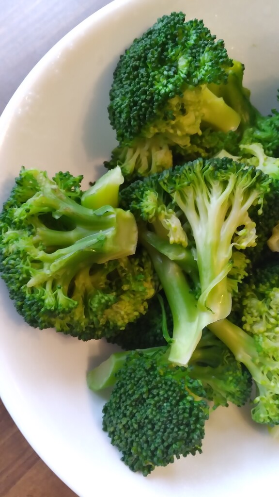 Broccoli for Dinner by julie