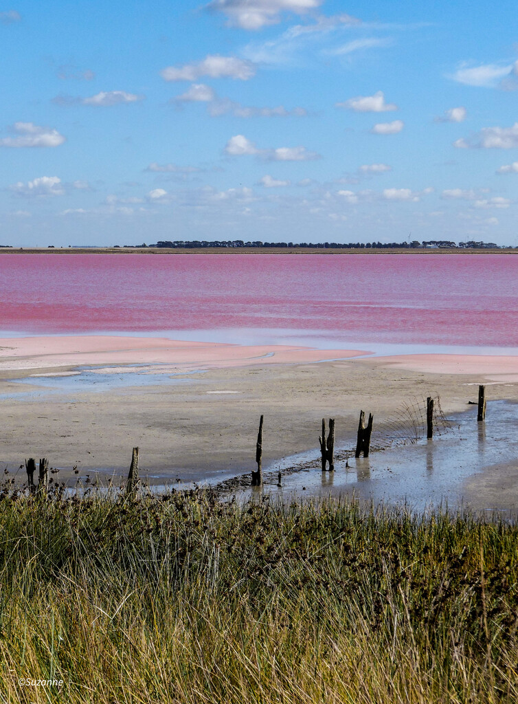 Lake Weering, Victoria, in full pink by ankers70